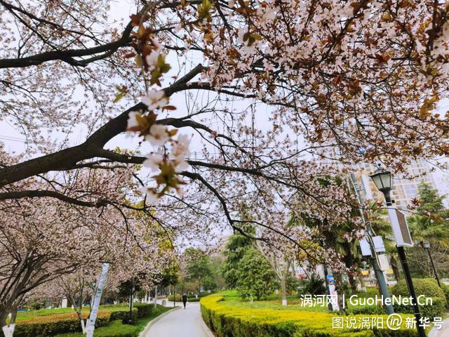 老子故里渦陽：老子文化廣場 一縷春光如畫